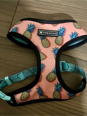 Frenchie size medium Pineapple Harness